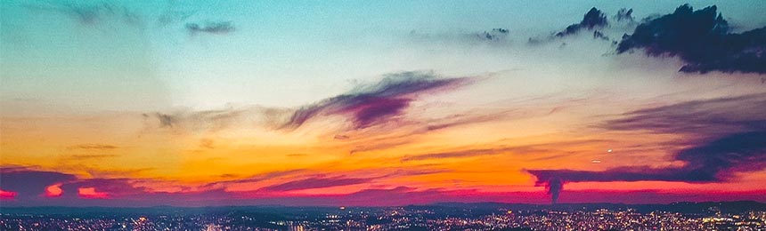 林芝茶虫网_林芝品茶